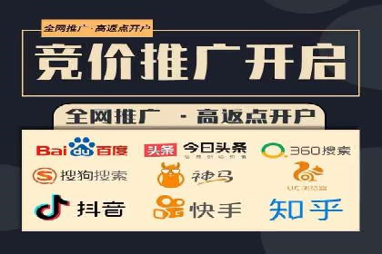 百度竞价推广代运营经典案例分析